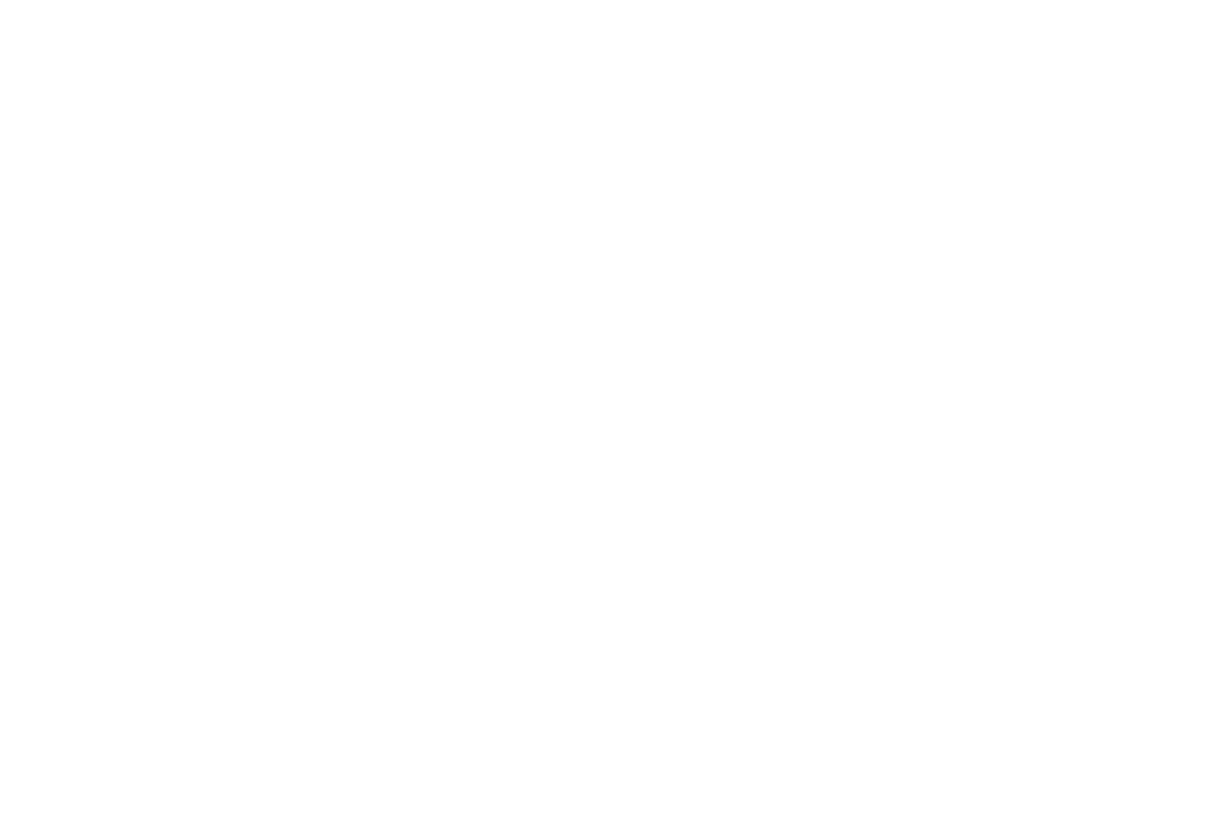 Small Axe Film Festivali